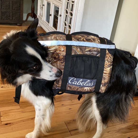 Cabela's Dog Cabelas Dog Hunting Life Jacket Poshmark